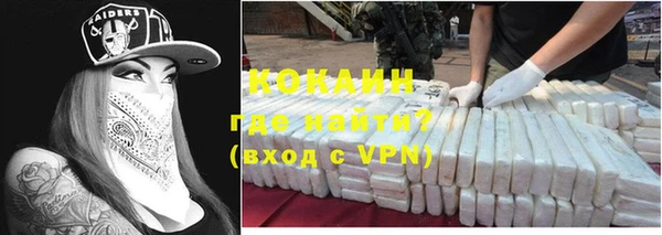 стаф Белокуриха