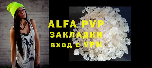 стаф Белокуриха